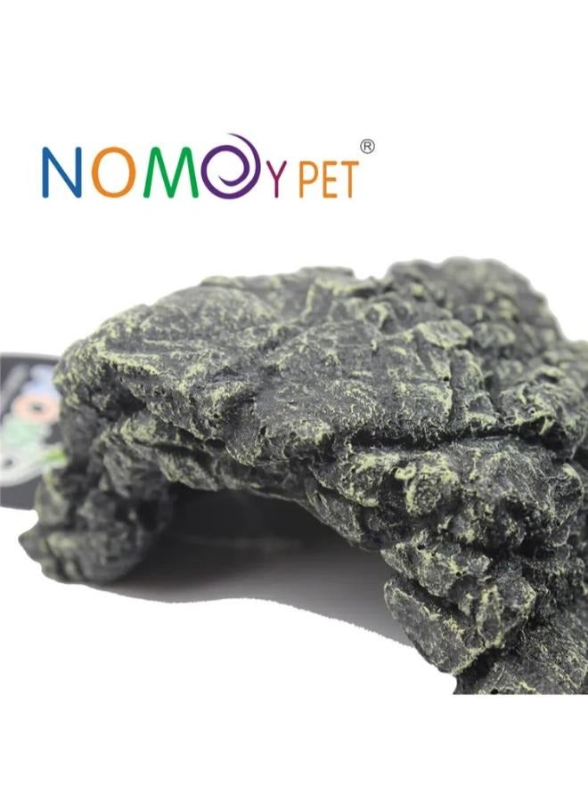 Nomoypet Hide Rock للتررم - Image 2