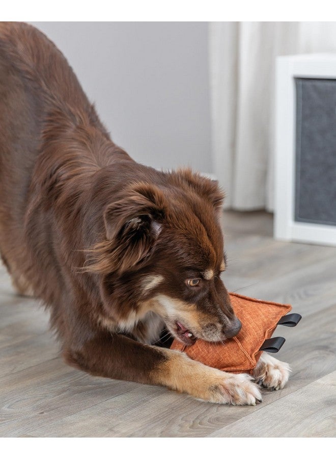 تريكسي لعبة حلقات الحبل سيتي ستايل للمضغ والتهدئة وتشجيع الترابط (على شكل معين)، 26 سم - Image 5