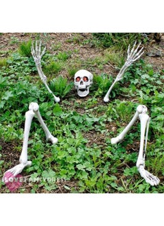 Brain Giggles BrainGiggles Plastic Skeleton Prop for Home Indoor And Outdoor Decorations  - Image 1