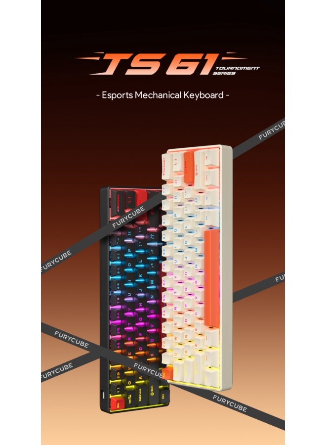 مكعب غاضب FURYCUBE TS61 لوحة مفاتيح ميكانيكية قابلة للتخصيص سلكية ببنية هيكل سفينة للحواسيب المحمولة للألعاب - ترتيب 61 مفتاحًا - Image 2