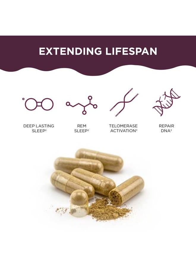 Healthycell Telomere Length | Supplement for Lengthening Telomeres and DNA Repair, Anti Aging, Cell Health, Stem Cell Support | Clinically Proven Ingredient AC11® | 578 mg Capsules - Image 3