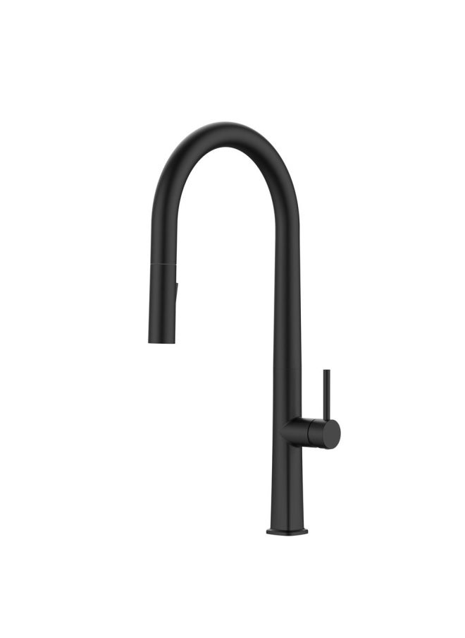 DANUBE HOME Milano Tina Pullout Kitchen Sink Mixer 982001E Mblk - Made In China  - Image 1