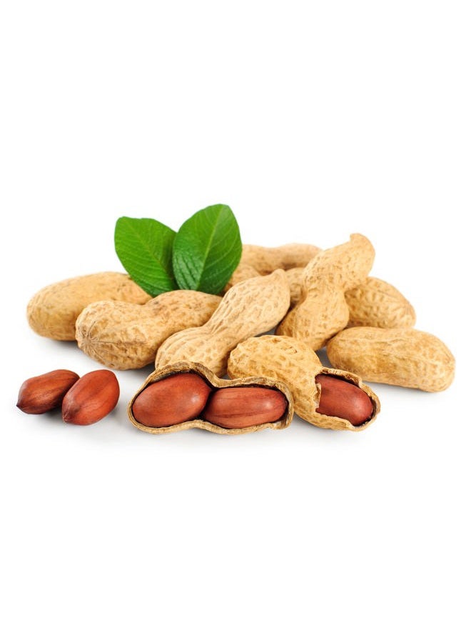 Fruidles Raw Peanuts, 2 Pound Bag Raw Peanuts in Shell, Great for Boiling, Squirrels Feed, Birds Feed and Wildlife - Image 5