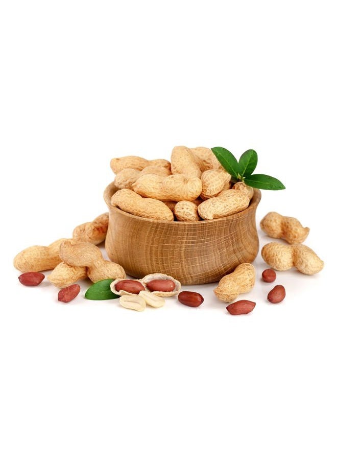Fruidles Raw Peanuts, 2 Pound Bag Raw Peanuts in Shell, Great for Boiling, Squirrels Feed, Birds Feed and Wildlife - Image 4