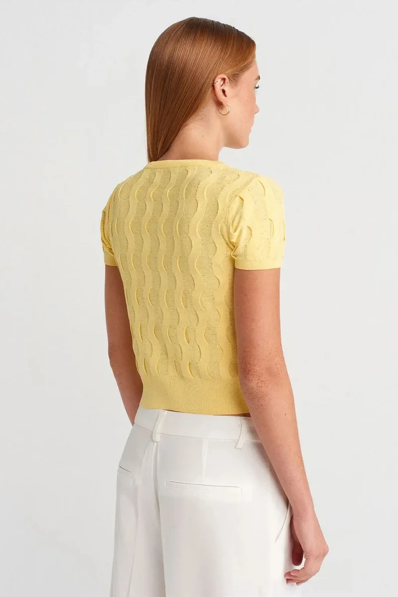 Dilvin Lemon Yellow DILVIN Women's Cropped Jacquard Button Cardigan for Women | Best Price UAE