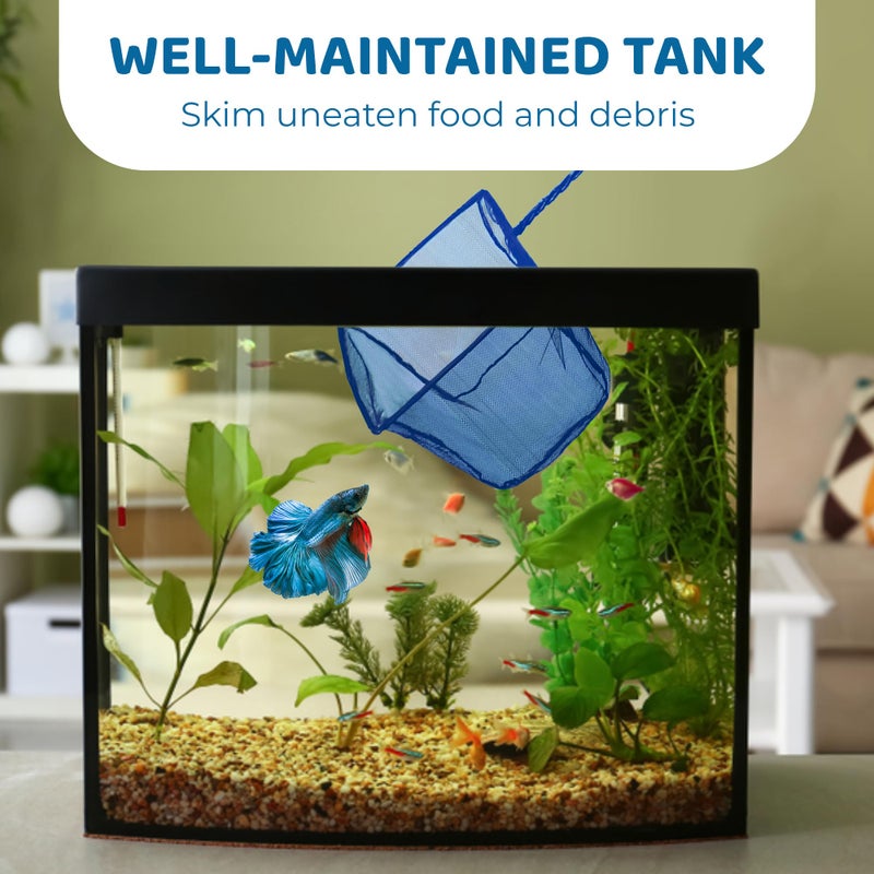 SunGrow Betta Fish Net, Secure Delicate Fin, 5x4 Inches with 11 Inches Handle, Extra Soft Nylon Net, Easy Routine Aquarium Tank Maintenance, Fish Tank Supplies - Image 3