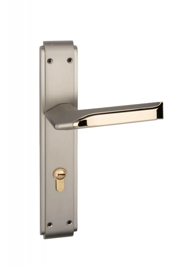 Kana Pair Of Door Handles With Lock Slot Golden & Silver - Image 2