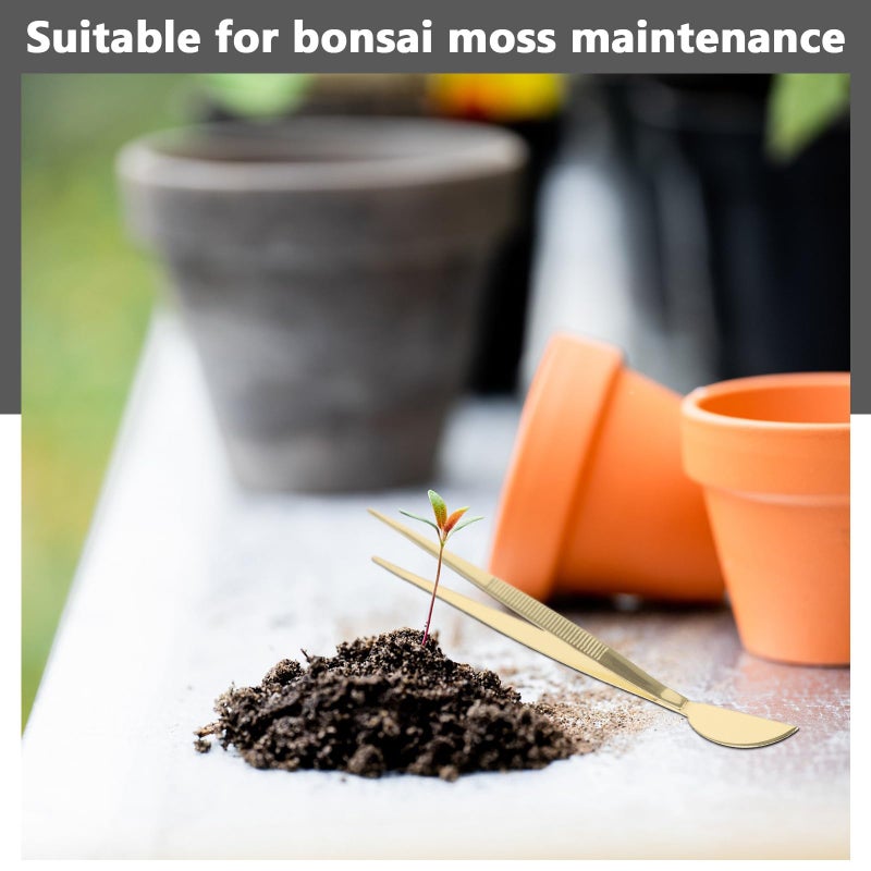 Stainless Steel Bonsai Tweezers And Scraper Tool For Planting Soil Loosening Indoor Outdoor Gardening - Image 4
