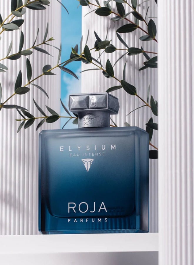 Roja Parfums Elysium Eau Intense 100ml - Image 3