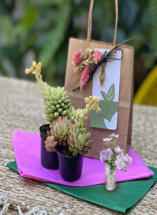 CoCud Mini Flowers Dollhouse in Vase, 2.76" Length, Silk Plastic Miniature Dollhouse Accessories with Tiny Large Flower Purple - (Applications: for Fairy Micro House Ornament) 1-Pieces - Image 5