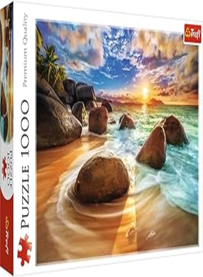 Trefl Samudra beach, india