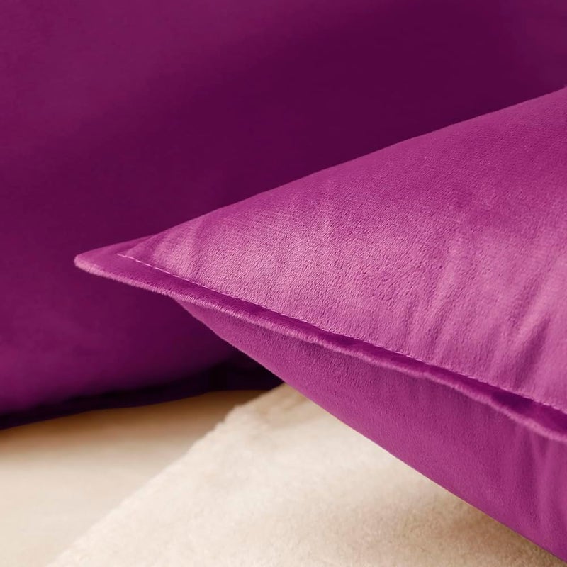 VAKADO Throw Pillow Covers 18x18 Set of 2 Fuchsia Velvet Decor Decorative Couch Cushion Euro Pillowcases with Fringe Home Bed Decoration for Sofa Bedroom Office - Image 2