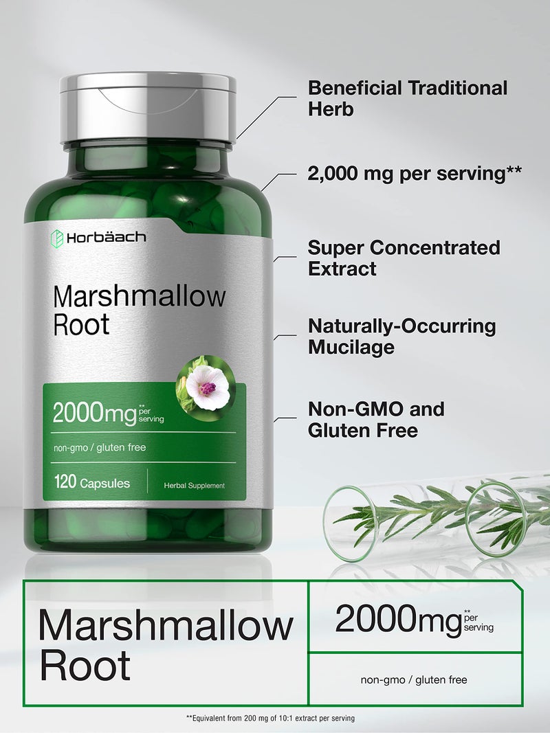Horbäach Marshmallow Root Capsules | 2000mg | 120 Count | Non-GMO & Gluten Free | Traditional Herb Extract - Image 3