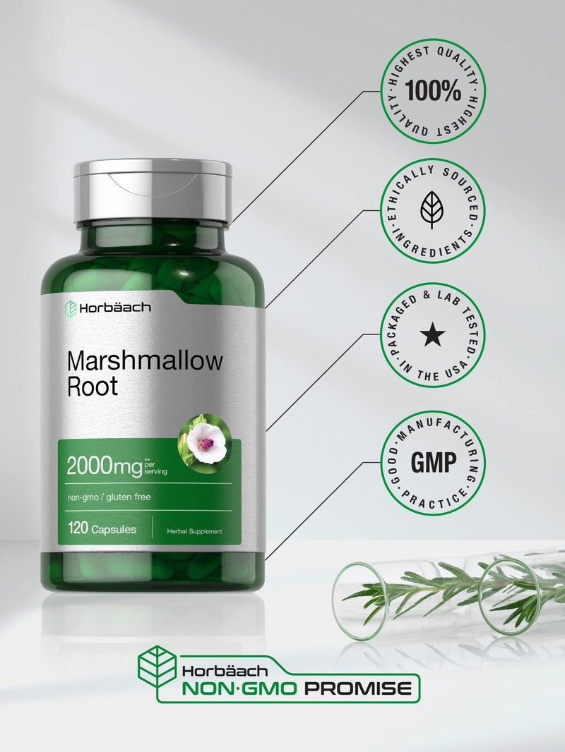Horbäach Marshmallow Root Capsules | 2000mg | 120 Count | Non-GMO & Gluten Free | Traditional Herb Extract - Image 5