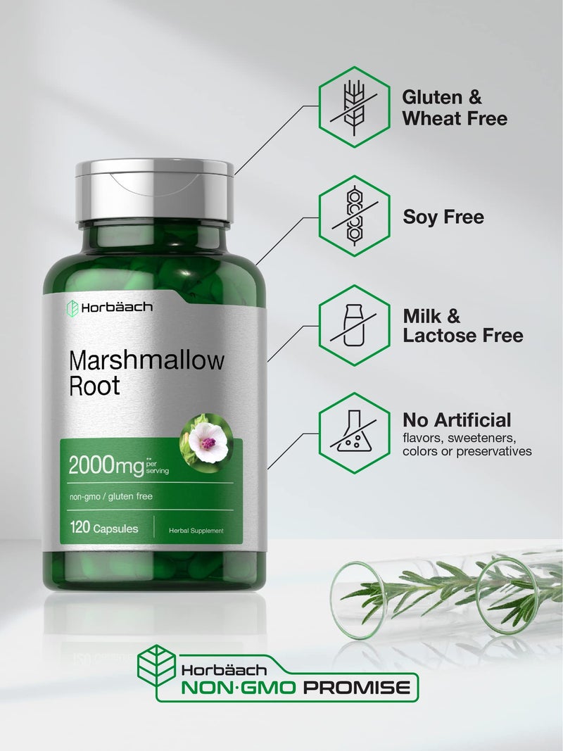 Horbäach Marshmallow Root Capsules | 2000mg | 120 Count | Non-GMO & Gluten Free | Traditional Herb Extract - Image 4