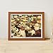 Pintoo Jigsaw Puzzles 1200 Piece for Adults The Mosaic Lamp Shop Beautiful Plastic Puzzle for Home Decor Zero Dust Easy Storage H3115 - Image 4