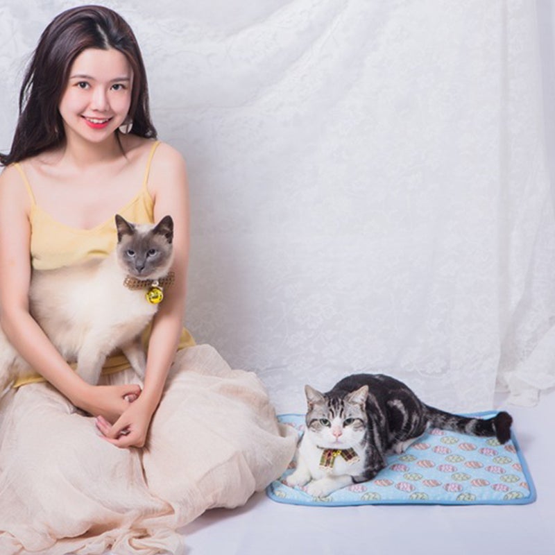Universal Pet Floor Pad Sleeping Mat Puppy Indoor Cooling Cushion - Image 3