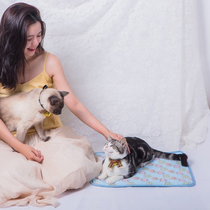 Universal Pet Floor Pad Sleeping Mat Puppy Indoor Cooling Cushion - Image 2