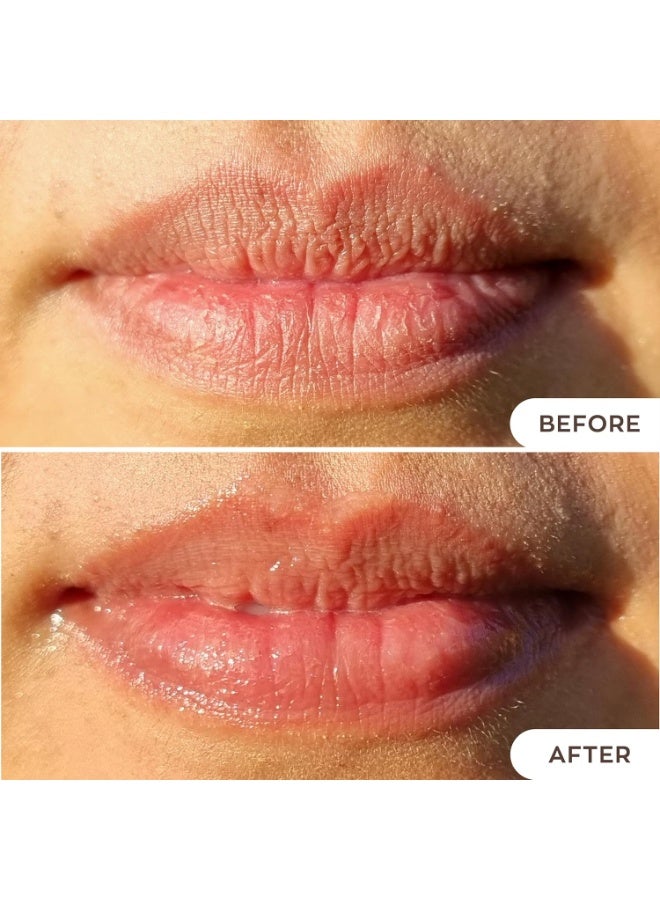 Hanalei Lip Treatment for Dry, Chapped Lips â€“ Intensive Overnight Moisturizer with Kukui Oil, Shea Butter & Grapeseed Oil â€“ Hydrating Balm for Healing Cracks â€“ Clear Tint, Full-Size 15g â€“ Cruelty-Free - Image 4