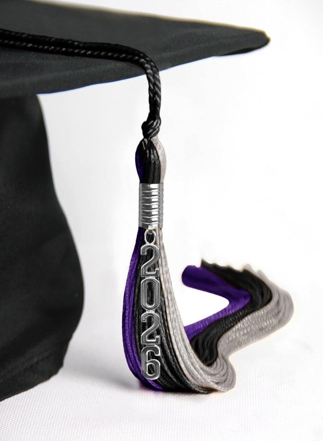 Endea Graduation Triple Color Tassel with Silver Stacked Date Drop (Black/Purple/Grey, 2026) - Image 4