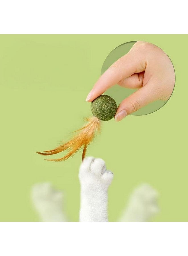 5 قطع من ألعاب النعناع البري، كرة النعناع البري المثالية لتحفيز القطط على ممارسة الرياضة والتفاعل مع الآخرين - Image 3