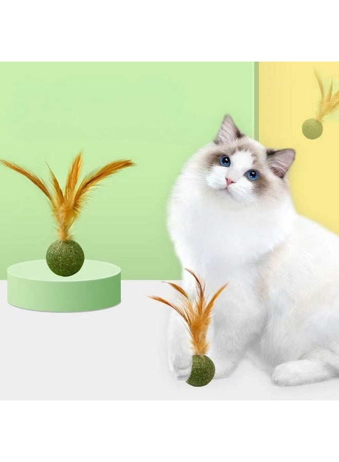 5 قطع من ألعاب النعناع البري، كرة النعناع البري المثالية لتحفيز القطط على ممارسة الرياضة والتفاعل مع الآخرين - Image 4