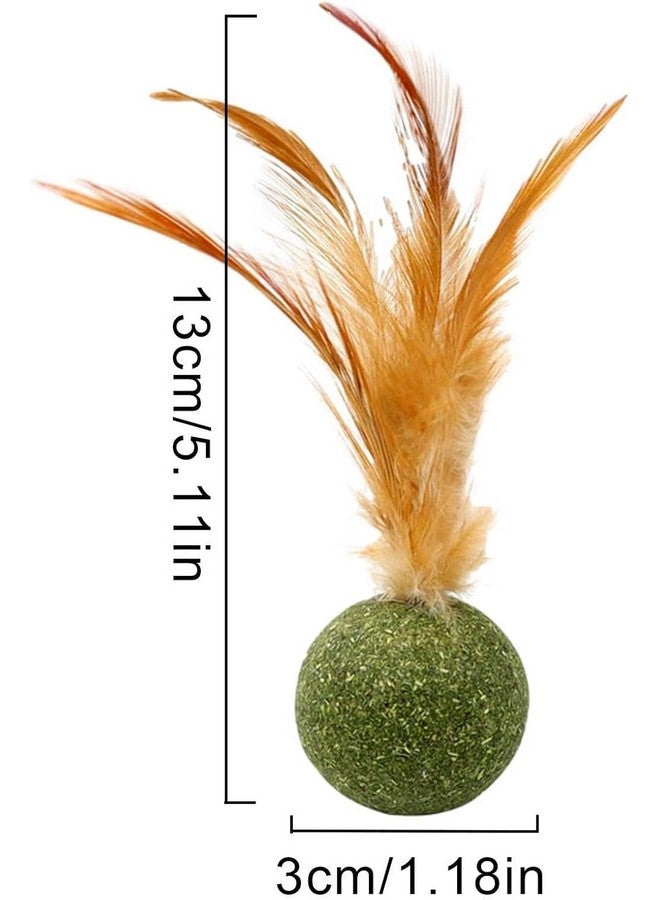 5 قطع من ألعاب النعناع البري، كرة النعناع البري المثالية لتحفيز القطط على ممارسة الرياضة والتفاعل مع الآخرين - Image 2