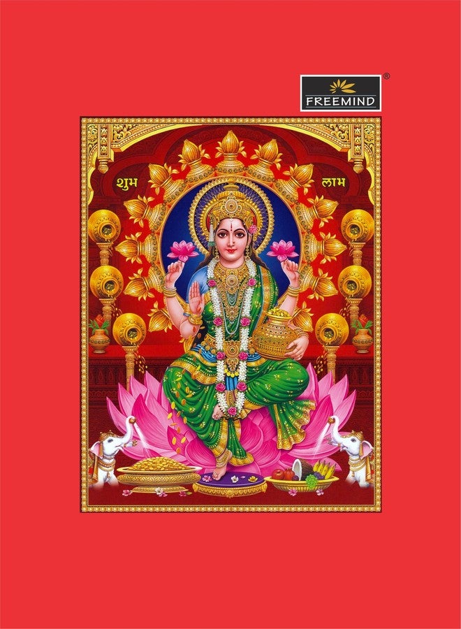 Freemind Laxmi Diary, 16x21 cm, 384 Pages, Pack of 2 - Image 3