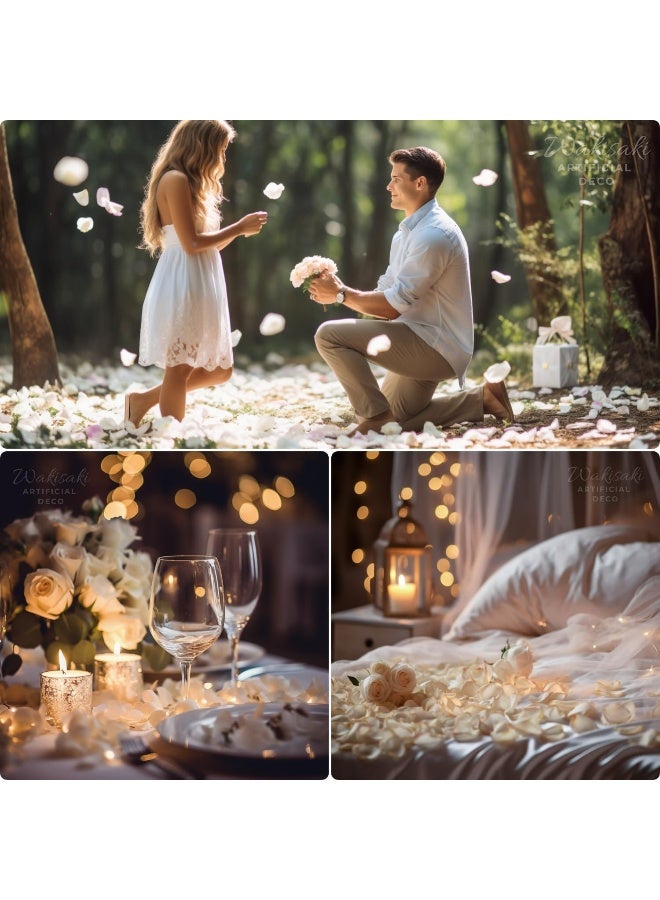 WAKISAKI PreSeparated Scented Artificial Silk White Rose Petals for Romantic Night Wedding Flower Girl Event Party Valentines Day Decoration Ivory White1000 pcs - Image 5