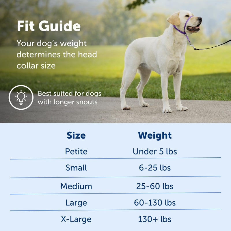 PetSafe Gentle Leader Headcollar No-Pull Dog Collar - Helps Improve Walks - Durable Nylon Construction - Padded Nose Loop - Adjustable Fit - Comfort Walking Halter - Large, Fawn - Image 5