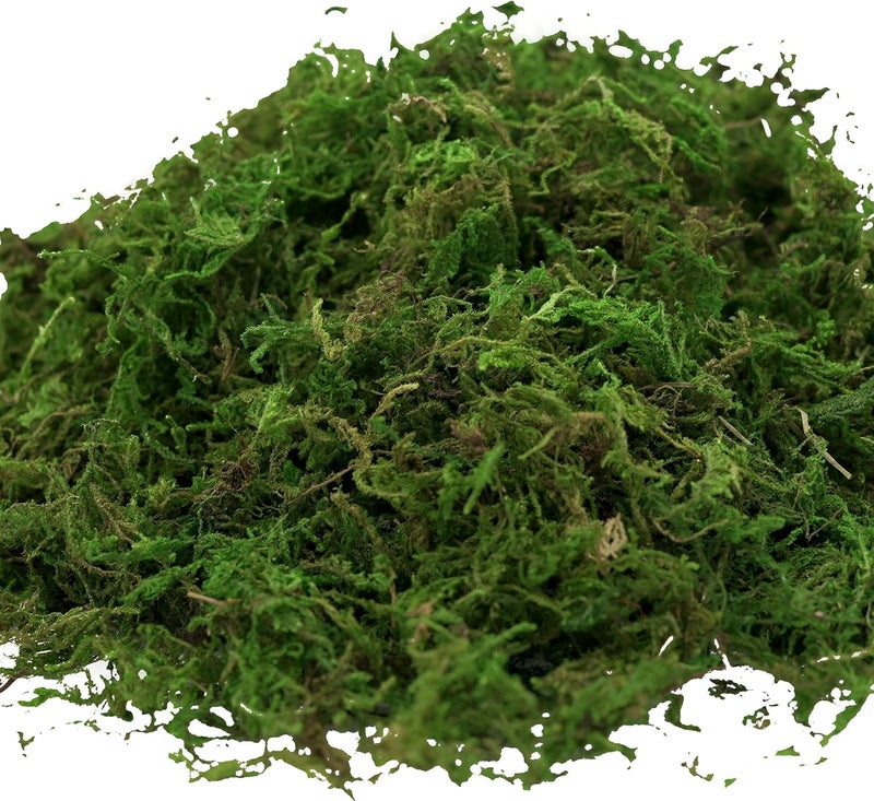 USMOLA طحالب اصطناعية، 16 أونصة طحالب مزيفة للحرف اليدوية، قطع مركزية زخرفية، حديقة الجنيات، زينة حفلات الزفاف، نباتات اصطناعية في أصص، 455 جرام (أخضر طازج) - Image 4