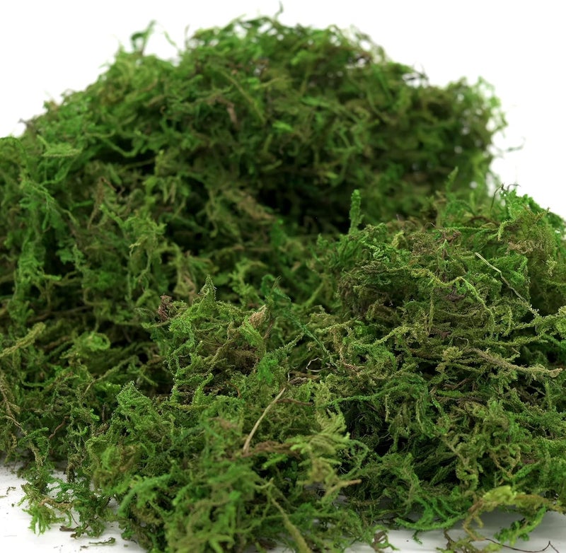USMOLA طحالب اصطناعية، 16 أونصة طحالب مزيفة للحرف اليدوية، قطع مركزية زخرفية، حديقة الجنيات، زينة حفلات الزفاف، نباتات اصطناعية في أصص، 455 جرام (أخضر طازج) - Image 5