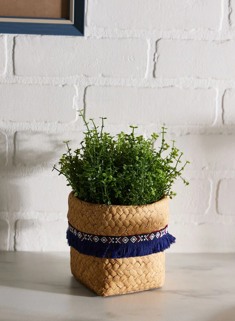 AURORA POT