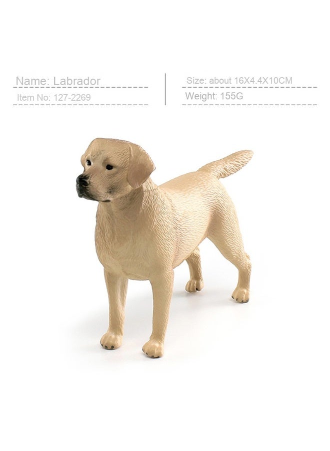 نيبمينينت 玩具 نموذج لكلاب الهاسكي ولابرادور ودوبيرمان بتصميم يحاكي الحقيقة