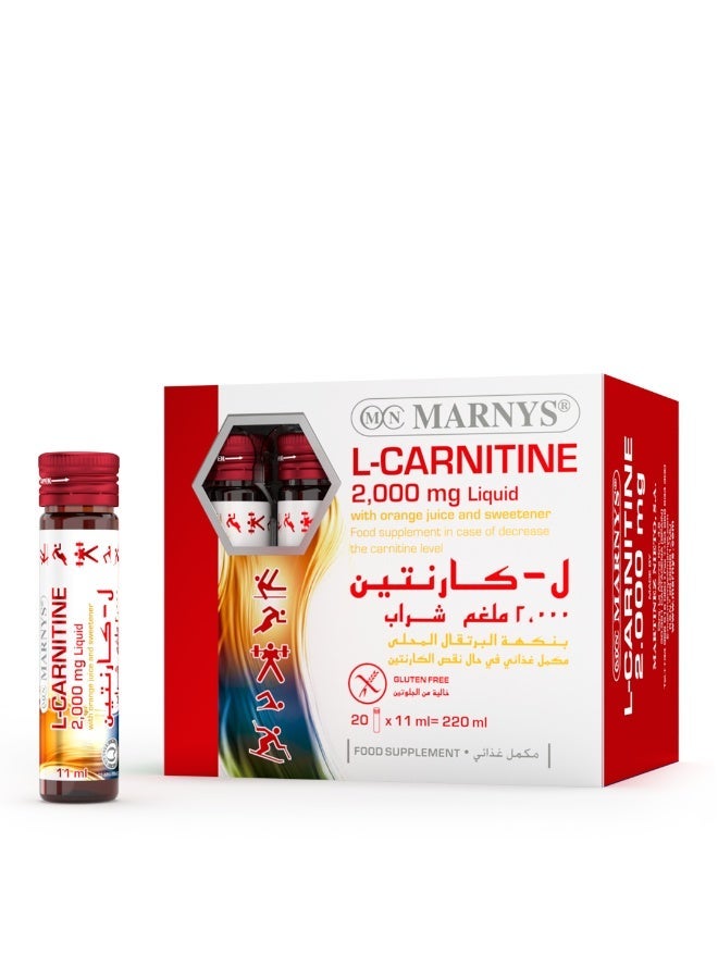 مارنيز علبتين ال كارنيتين ٢٠٠٠ مجم - ٢٠ قارورة شراب - Image 2