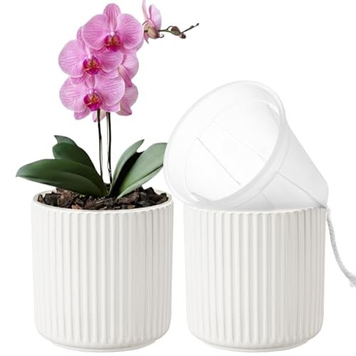TineDew 2 Pack of 5in Ceramic Cachepot with 5 inch Clear nusery Pot - self Watering Indoor Planter with Drainage for Root Visibility,semi Hydro pots for repotting Orchid,White - Image 1