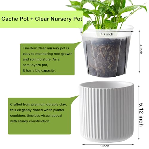 TineDew 2 Pack of 5in Ceramic Cachepot with 5 inch Clear nusery Pot - self Watering Indoor Planter with Drainage for Root Visibility,semi Hydro pots for repotting Orchid,White - Image 2