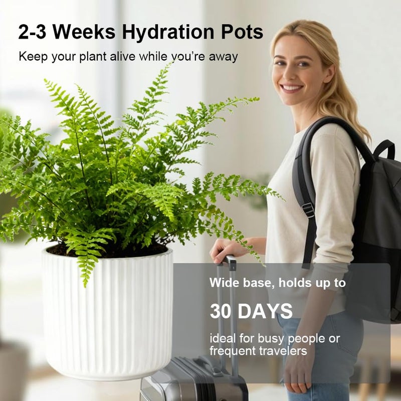 TineDew 2 Pack of 5in Ceramic Cachepot with 5 inch Clear nusery Pot - self Watering Indoor Planter with Drainage for Root Visibility,semi Hydro pots for repotting Orchid,White - Image 4