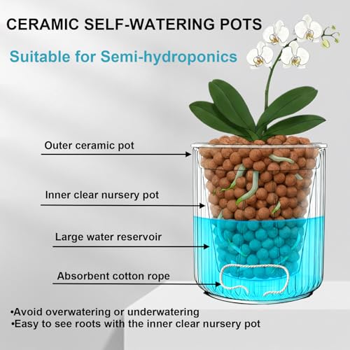 TineDew 2 Pack of 5in Ceramic Cachepot with 5 inch Clear nusery Pot - self Watering Indoor Planter with Drainage for Root Visibility,semi Hydro pots for repotting Orchid,White - Image 3
