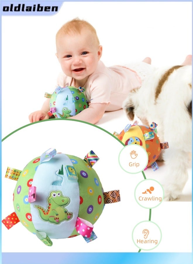 oldlaiben Baby Rattle Ball,Sensory Balls For Infant Toddlers,Soft Plush Rattle Ball Toy For Early Educational,Fabric Baby Toy For Sensory Development,Toys For Babies 6-12 Months,Different Sensory Tactile Textures With Crinkle Rattle Squeakers(Dinosaur) - Image 1