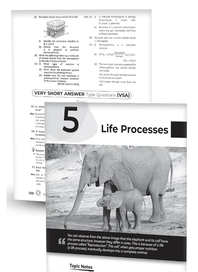 null - Educart CBSE Class 10 SCIENCE Question Bank 2023-24 (NCERT based reference book 2024) - Image 1