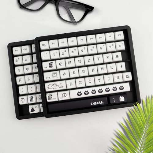 Hyekit Keycaps Storage Box, 4th Floor PBT Dustproof Display Case, 252 Keys Visible Top Cover Keycaps Collection Box for Cherry MOA XDA SA OEM MSA DSA Mao Profile Mechanical Keyboard Keycap (Black) - Image 4