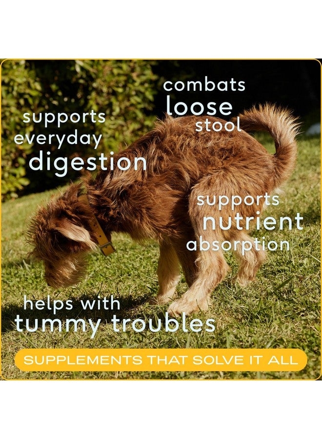 Native Pet Pumpkin for Dogs - Organic Powder Pumpkin Puree Dog Food Toppers-Rich in Fiber Supplement Powder Helps with Digestion, Nutrient Absorption, Diarrhea, Constipation & Upset Stomach-120 Scoops - Image 2