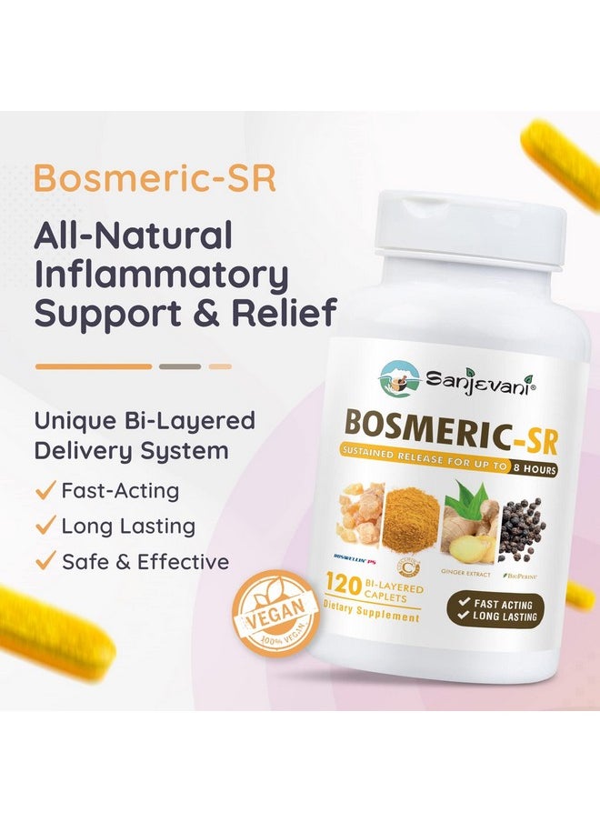 Joint Support Supplement, Potent Blend Of Turmeric Curcumin With Black Pepper, Boswellia Extract & Ginger, Fast-Acting Joint Supplement, 8-Hour Sustained Release, 120 Caplets - Sanjevani