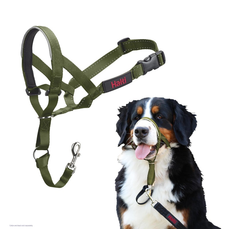 Halti Headcollar Stop Your Dog Pulling on the Leash Adjustable Reflective and Lightweight with Padded Nose Band Dog Training AntiPull Collar for Large Dogs Size 4 Forest Green - Image 2