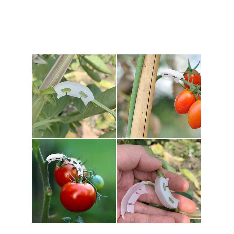 Zikra 90 Degree Plant Clips Branches Clips Control The Growth of Plants Branches Clamps for Low Stress Planting Clip (150 Pieces) - Image 5