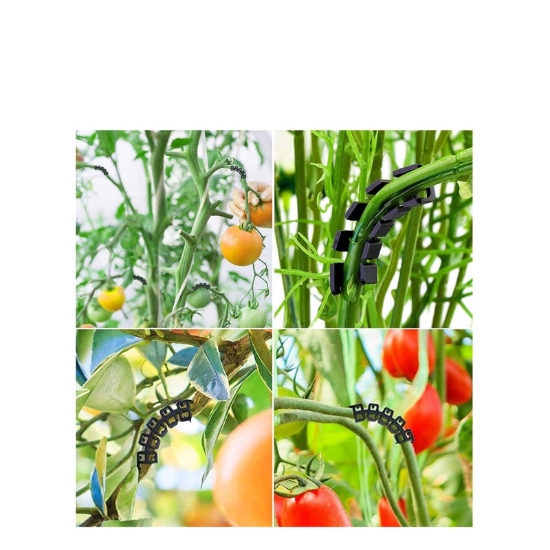 Zikra 90 Degree Plant Clips Branches Clips Control The Growth of Plants Branches Clamps for Low Stress Planting Clip (150 Pieces) - Image 3