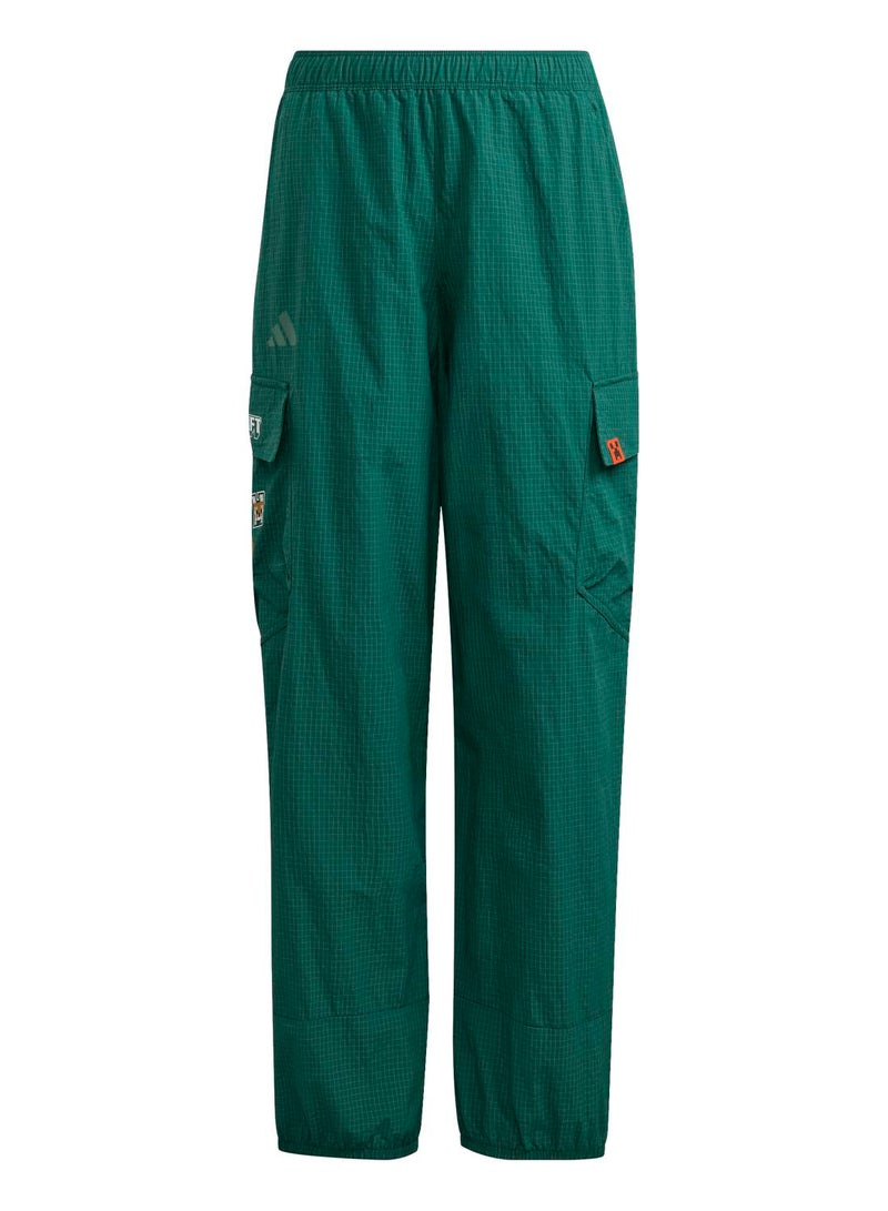 Adidas Minecraft Terrex Clima365 Cargo Pants - Image 1