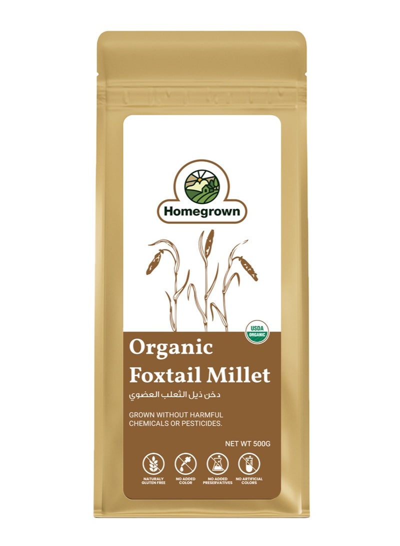 Homegrown Organic Foxtail Millet – 500 g | Unpolished, High Fiber, Gluten-Free Millet | Ideal for Khichdi, Upma & Salads - Image 3
