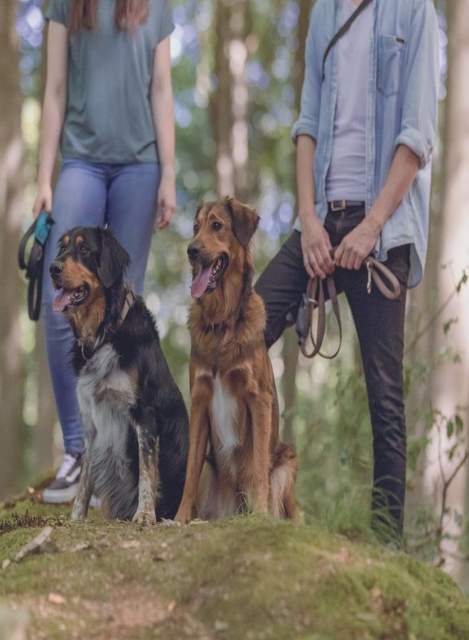 تريكسي حبل تريكسي بريميوم، مقاس كبير إلى كبير جدًا، 1.00 متر/25 ملم، أسود - Image 3